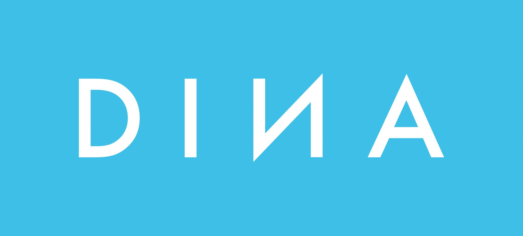 Dina Elektronik - 职能安全？